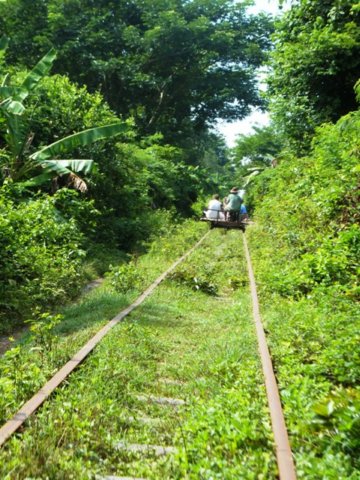 bambootraintrack.jpg