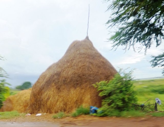 cambodianstrawhouse.jpg