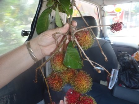 rambutan.jpg