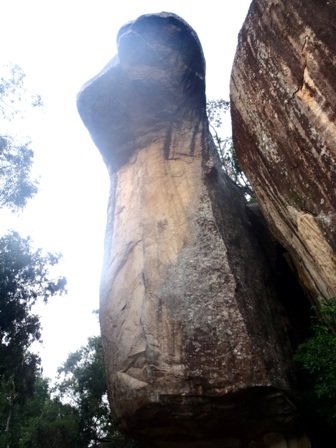 sigiriyacitylionrockcobragate.jpg