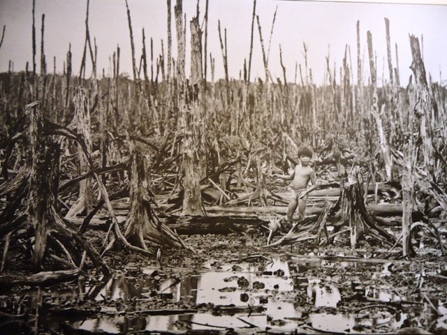 saigonwarmuseum14.jpg
