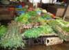 vietnamlocalmarket4_small.jpg