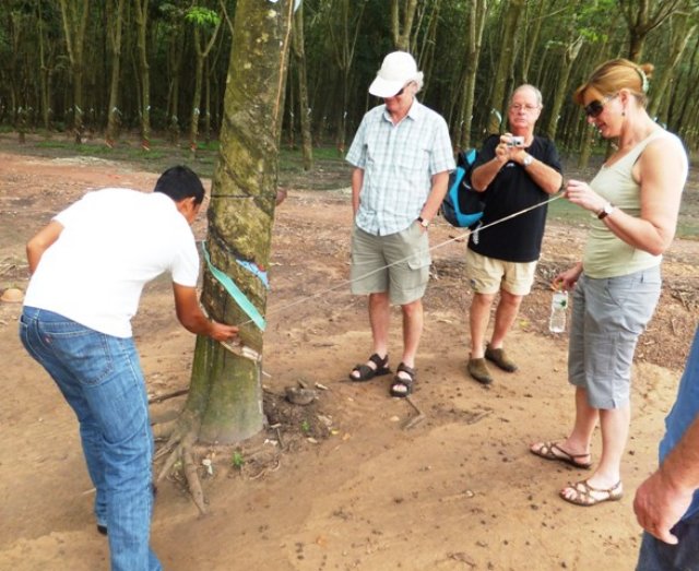 vietnamrubberplantation1.jpg