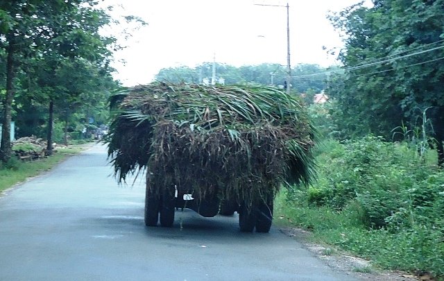 vietnamtransportationload.jpg